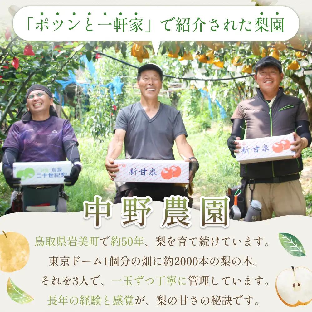 中野農園 梨 ”王秋梨” 5kg箱｜鳥取 岩美 梨 なし ナシ※お届けは2026年11月以降【41017】
