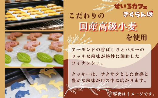 フィナンシェ&クッキーギフト B　お菓子 スイーツ ご褒美 特別 手土産 プレゼント おやつ おいしい 人気 おすすめ ギフト 自分用 河内長野 送料無料_イメージ2