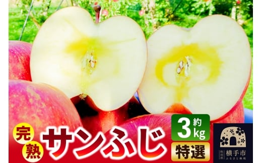 完熟サンふじ特選 約3kg（8～10個入）りんご