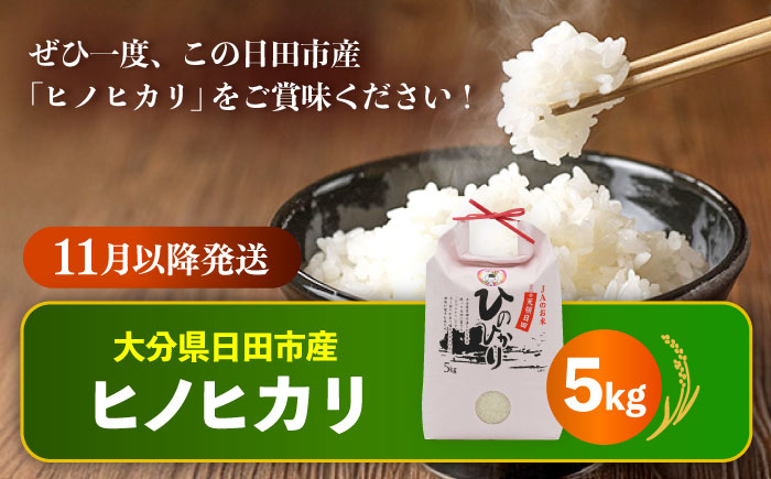 【先行予約・25年11月以降発送】令和7年産大分県産ヒノヒカリ 5kg　日田市 / JAおおいた日田グリーンセンター 米 [ARDX004]