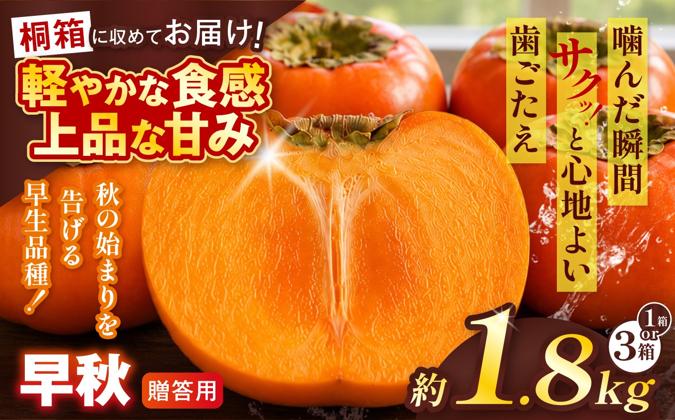 
                  【贈答用・桐箱】 早秋 柿 ( 6個 / 1.8kg ) 選べる箱数 先行予約 令和8年10月中旬順次発送 |【知る人ぞ知る希少柿】 軽やかな歯ごたえと上品な甘み フルーツ 果物 完熟 国産 贈答用 贈り物 桐箱 ギフト プレゼント お歳暮 季節の果物 高級 岐阜県 北方町
                