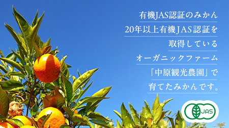 オーガニック 瀬戸内みかん 3kg (30~40個程度) 10月～1月発送 中原観光農園 国産 有機JAS認証 小玉 小玉みかん 瀬戸内 広島 大崎上島 離島 有機栽培 柑橘 果物 オーガニック フル