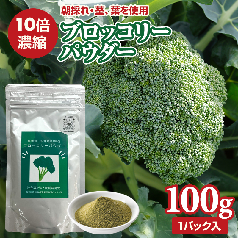 新鮮 朝採れ ブロッコリーパウダー100g 野菜パウダー ビタミン 栄養補助 葉酸 離乳食 野菜不足 就労支援 佐賀県 小城市