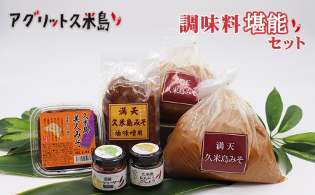  味噌【アグリット久米島】調味料堪能セット みそ