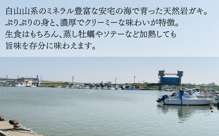 天然岩がき 小サイズ（10～15個） 3Kg 夏季限定！ 安宅産 かき 牡蠣 かき 牡蠣 かき 牡蠣 かき 牡蠣 かき 牡蠣