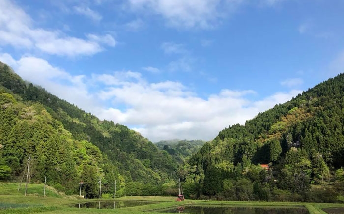 餅 杵つきまるもち 丸もち お餅 おもち こもち お雑煮 おしるこ お正月 餅米