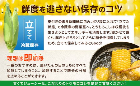 とうもろこし 味来 贈答用 5本 トウモロコシ 宮城県産 甘い 夏 朝採れ 産地直送 宮城県 大河原町