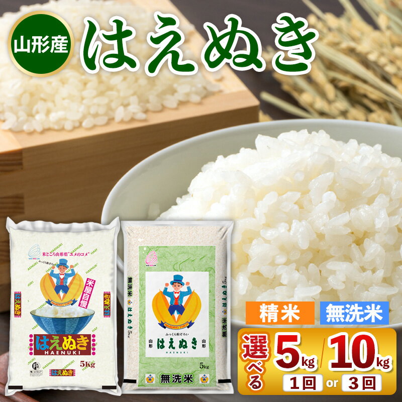 【ふるさと納税】令和7年産 山形産 はえぬき 選べる 5kg 10kg FY25-350 FY25-351 FY25-440 FY25-441 FY25-471 FY25-467 FY25-478 FY25-477