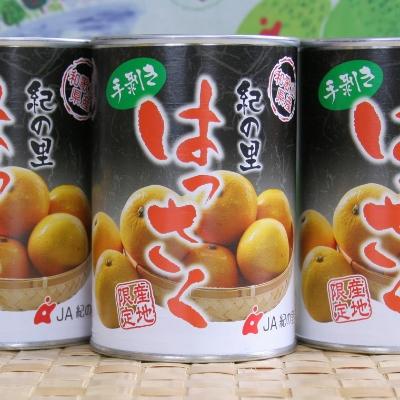 ふるさと納税 和歌山市 和歌山産手剥き八朔缶詰450g×8缶入り【和歌山市】
