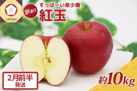 【2026年2月前半発送】紅玉10kg 程度 紅玉リンゴ 訳あり 青森|タルトタタン に最適 不揃い りんご