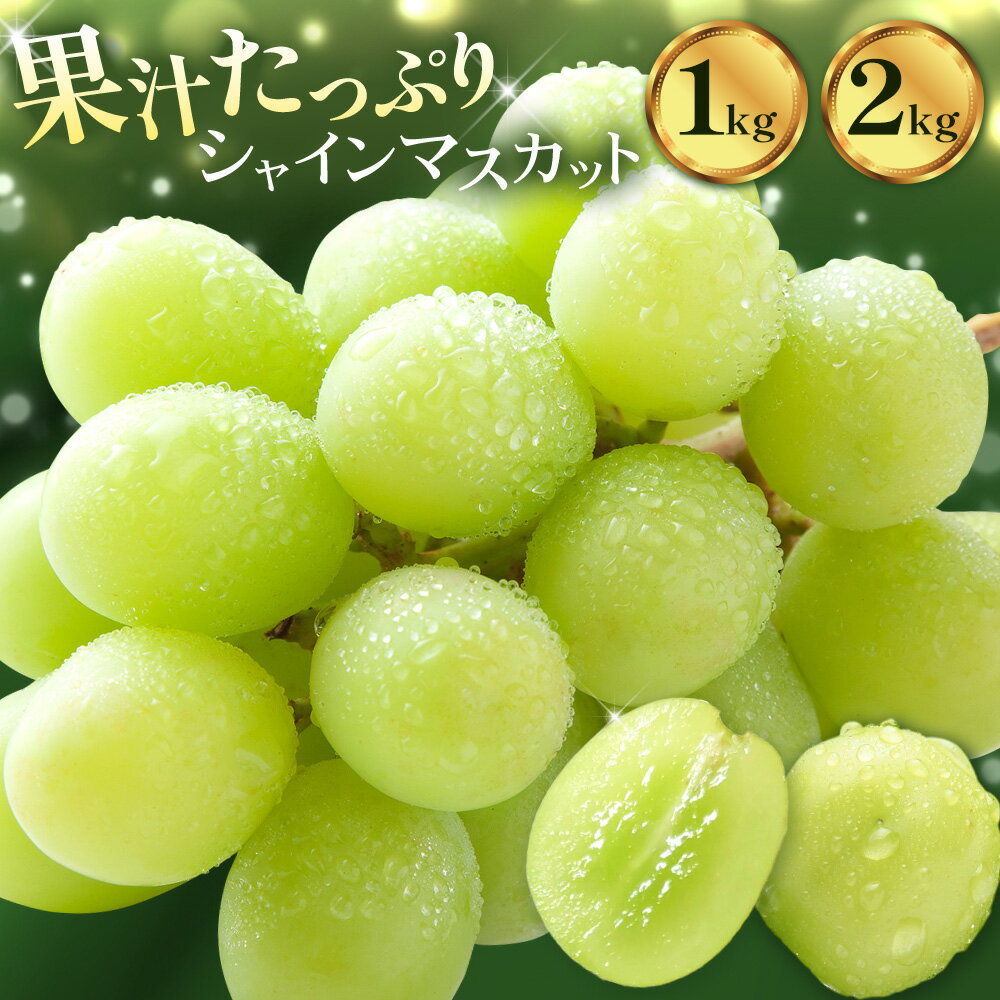 【ふるさと納税】ぶどう シャインマスカット マスカット 1kg または 2kg 《出荷時期をお選びください》 大藏果樹園 フルーツ おやつ 甘い ますかっと シャイン 果物 くだもの 鹿児島県 さつま町