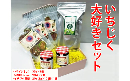 いちじく大好きセット ※着日指定不可 ※離島への配送不可 ※2024年4月下旬～6月下旬頃に順次発送予定