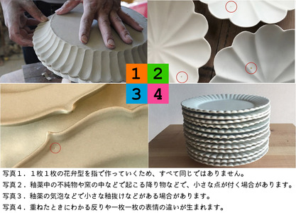 〔臼杵焼〕稜花リム皿（S）【白・1枚】