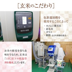 SA2066　令和6年産【玄米】特別栽培米 雪若丸　10kg(5kg×2袋)「農家直送」 KA