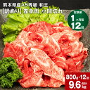 【ふるさと納税】【定期便】【1ヶ月毎12回】熊本県産A5等級 和王 赤身肉【訳あり】小間切れ こま切れ 細切れ 計約9600g（1回約800g×12回） 牛肉 お肉 肉 こまぎれ 国産 A5ランク 赤身 旨味 ごちそう 熊本県 合志市 送料無料