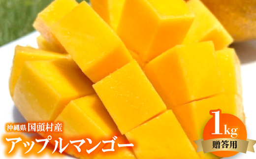 【2025年6月～7月頃の発送】贈答用のアップルマンゴー1kg【配送不可地域：離島】
