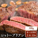 【ふるさと納税】【定期便】シャトーブリアン (300g × 3回) ～ (300g × 12回) 鳥取和牛 ブランド牛 国産 牛肉 和牛 黒毛和牛 ヒレ ステーキ 定期便 鳥取県 倉吉市