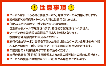 宮崎県宮崎市の対象ツアーに使えるHISふるさと納税クーポン 寄附額200000円 クーポン 宮崎県 ツアー