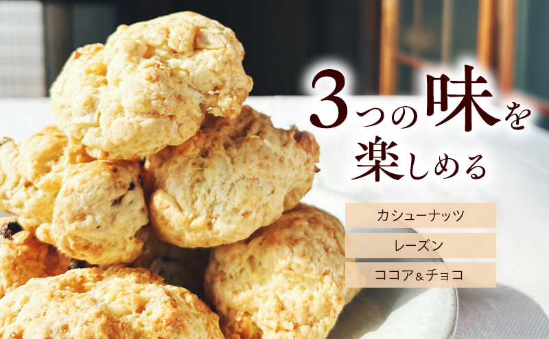 スコーン 詰め合わせ 6個セット 3種類 カシューナッツ レーズン ココア＆チョコ 手作り 焼き菓子