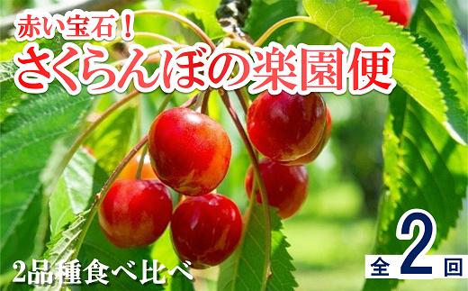 【令和7年産先行予約】 《定期便2回》 赤い宝石！さくらんぼの楽園便 「佐藤錦・紅秀峰」 各約1kg (500g×2パック 秀 L以上) 『フードシステムズ』 山形県 南陽市 [894]