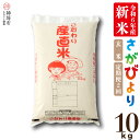 【ふるさと納税】【令和6年産 新米】さがびより 玄米 10kg【2ヶ月定期便】米 お米 銘柄米 国産 美味しい おいしい ブランド米 人気 コメ こめ おこめ ごはん ご飯 安心安全 取り寄せ グルメ 食べ物 九州産 佐賀県産 特Aランク 送料無料 10キロ H061353