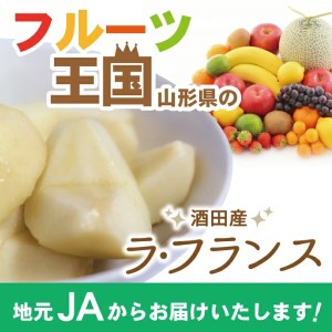 SA2077　酒田のラ・フランス　約3kg