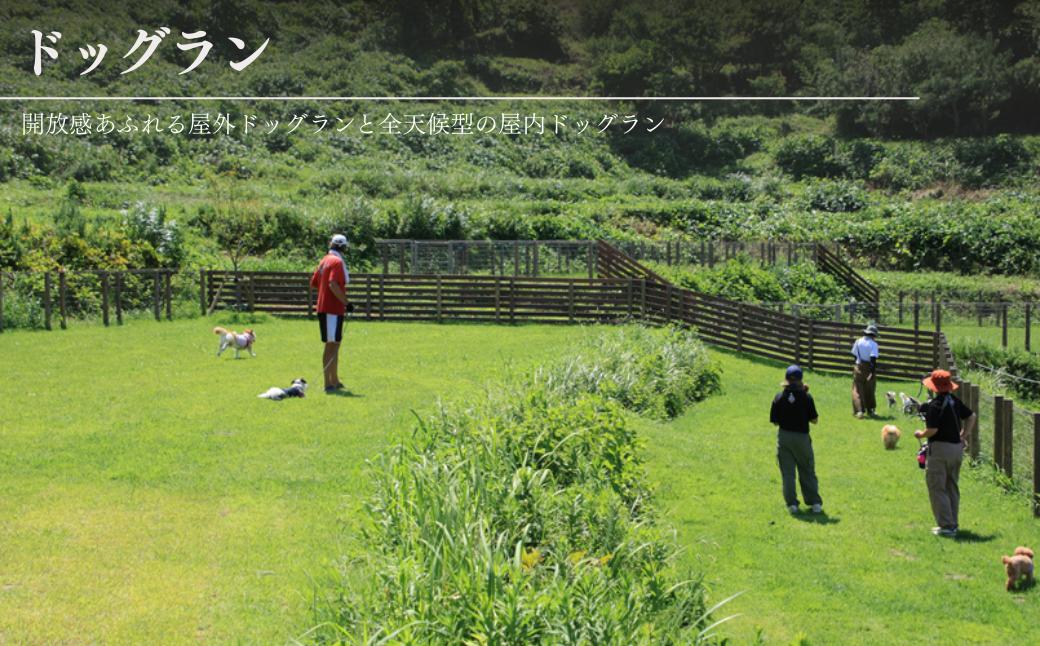 ドッグラン