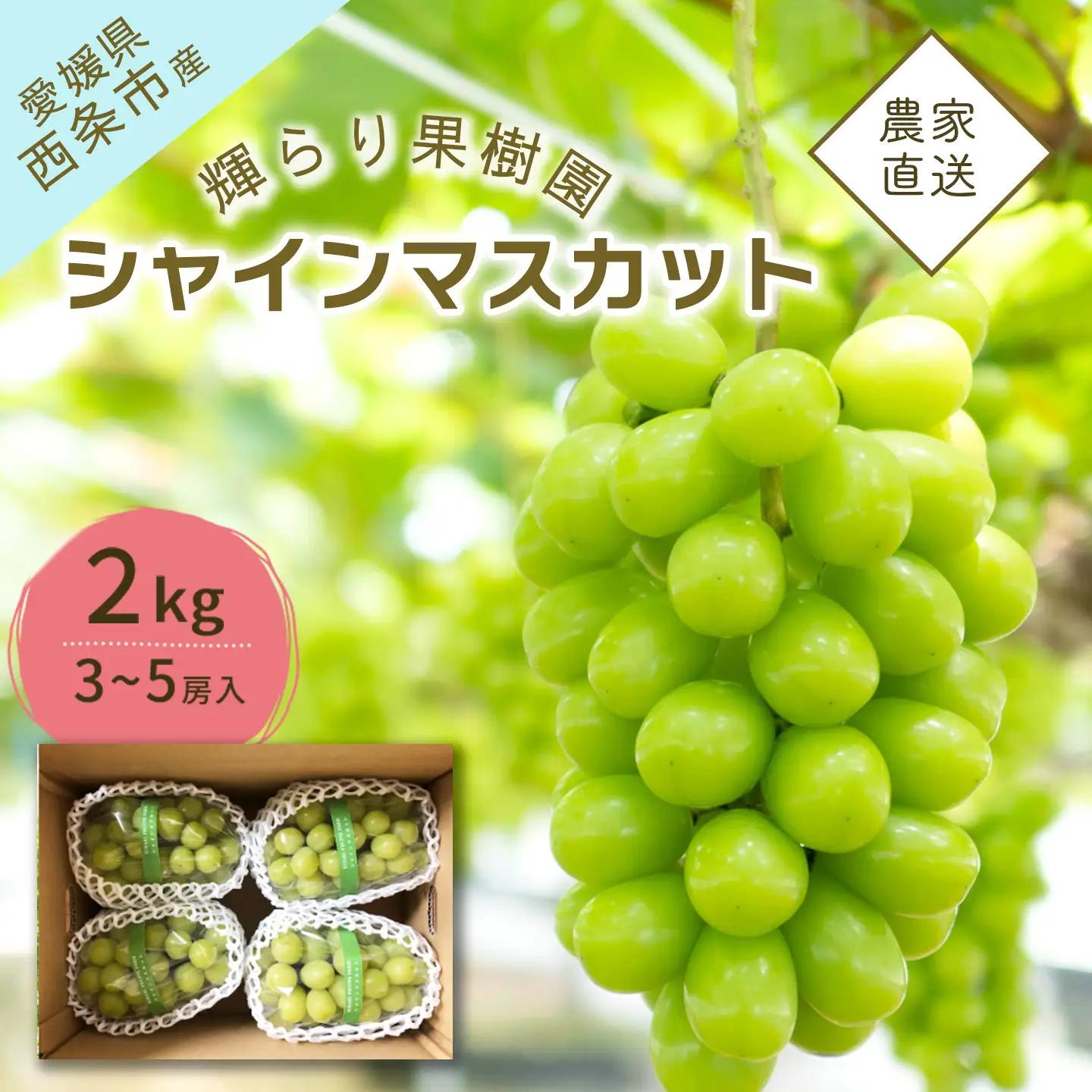 シャインマスカット 2kg（3～5房）完熟シャインマスカット【9月発送】