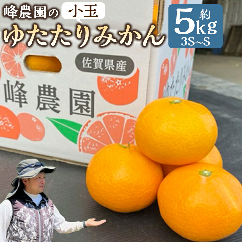 【ふるさと納税】LB15x1 峰農園のゆたたりみかん（小玉） 5kg 【2026年11月発送予定】