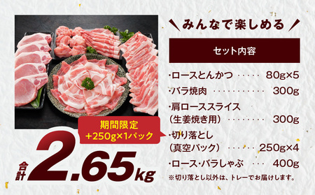 「高城の里」わくわく2.65kgセット(真空)≪みやこんじょ快速便≫(CP)_16-8401-s-R-CP_(都城市) リピーター続出? 豚肉 都城産豚 高城の里 しゃぶしゃぶ バラ 焼肉 切り落とし