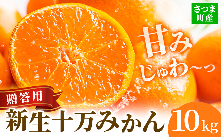 鹿児島県産 新生十万みかん 贈答用 約10kg 祝迫果樹園《1月中旬-2月中旬頃出荷》鹿児島県 さつま町 みかん 十万みかん 蜜柑 柑橘 果物 くだもの フルーツ ジューシー
