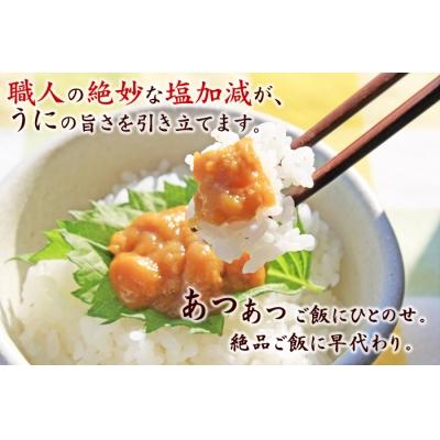 ふるさと納税 普代村 三陸水産 普代産 塩うに 2本 60g うに瓶詰め ミョウバン不使用 |  | 01