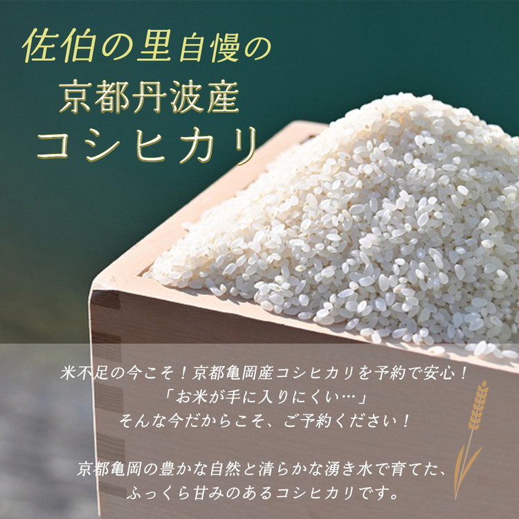 予約 野菜と米 6回 定期便 京都 佐伯の里 新鮮 旬の野菜セット 7～10品 コシヒカリ2kg 新米 定期便 6ヶ月 京都丹波・亀岡産 季節の野菜 詰め合わせ 訳あり 生活応援 ※北海道・沖縄・離島