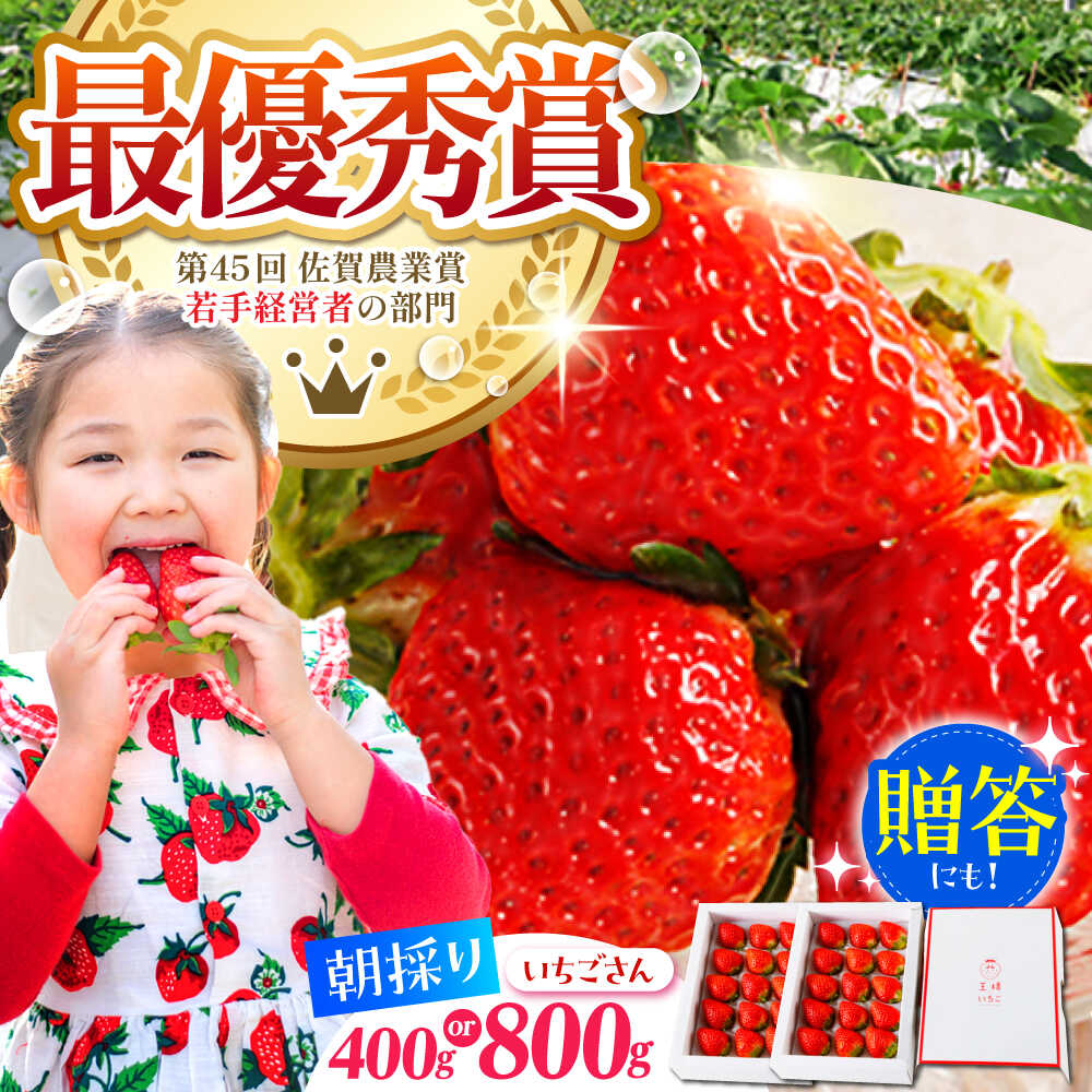 【ふるさと納税】【先行予約】【1〜2月発送】王様のいちご いちごさん ( 800g ・ 400g ) 【むらおか農園】 [HAF009] / 食品 フルーツ 果物 いちご 苺 いちごさん 佐賀県 ブランド 送料無料