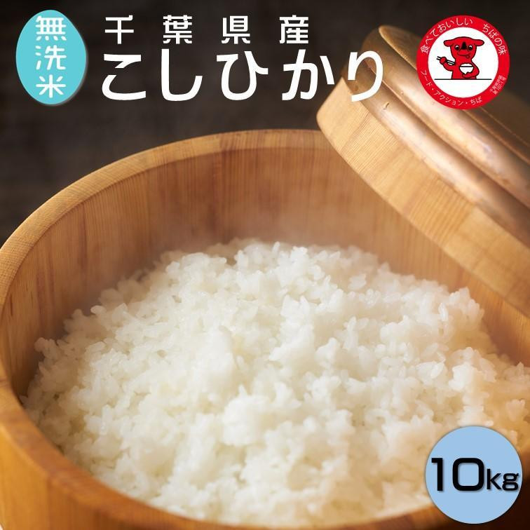 
（先行予約）新米 令和6年産【無洗米】コシヒカリ 10kg(5kg×2) 千葉県産こしひかり 9月28日以降発送 根本商店
