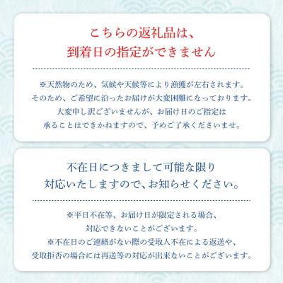 ふるさと納税 土佐清水市 天然 白甘鯛 1尾(約600g〜800g)※下処理なし・指定日不可※ 希少高級魚【R01545】 |  | 02