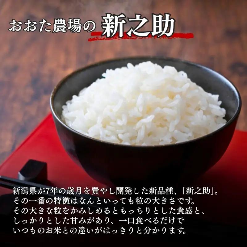 おおた農場 新之助 特別栽培米 無洗米 新之助 5kg