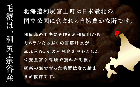 【2025年12月24日～12月30日発送】  毛ガニ 特大（900g前後） 3尾＜利尻漁業協同組合＞
