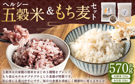 ヘルシー五穀米ともち丸麦セット 五穀米 250g×1袋 もち丸麦 320g×1袋 合計570g 雑穀米 雑穀 黒米 玄米 赤米 麦 もち麦 麦ごはん 麦ご飯 食物繊維 セット 常温 お取り寄せ 国産 