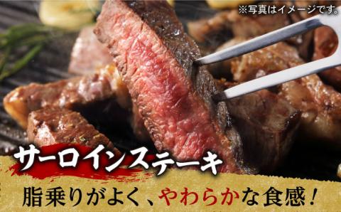 【全2回】 サーロイン サイコロステーキ ハンバーグ 総量3kg以上 [NA65] 肉 牛肉 サーロインステーキ 焼肉 おかず 惣菜 定期便