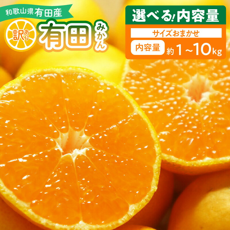 【ふるさと納税】【限定】【2025年先行予約】 有田みかん 訳あり 家庭用 選べる 内容量 1kg ～ 10kg 和歌山県 湯浅町 送料無料