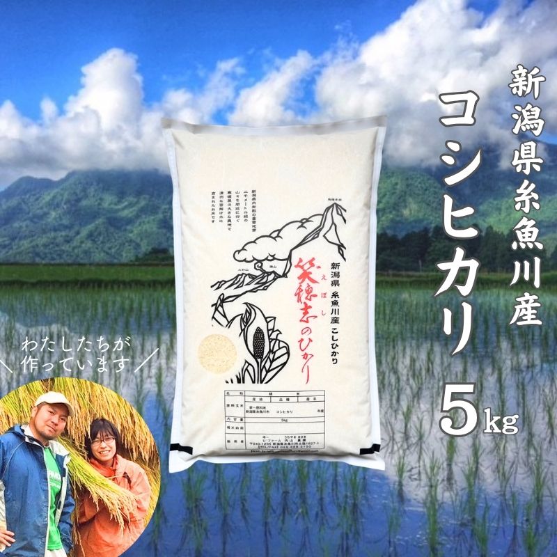 【ふるさと納税】令和8年産新米【数量限定】新潟県産コシヒカリ『笑穂志(えぼし)のひかり』5kg U'ファーム【米 お米 白米 こめ コメ こしひかり ご飯 ライス ふるさと納税米 新潟県 糸魚川産 2026年産 5キロ 食品 人気 おすすめ】