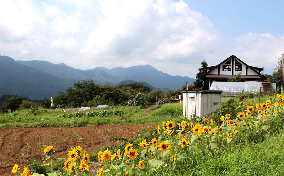 山々に囲まれて農業を楽しみませんか？