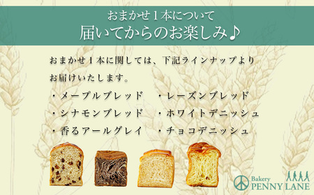 【6ヵ月定期便】ペニーレインのブルーベリーブレッド2 本＋ おまかせ 1本セット【 パン パン屋 茨城県 つくば市 ブルーベリー 冷凍パン お取り寄せ 人気 おすすめ ベーカリー グルメ プレゼント 