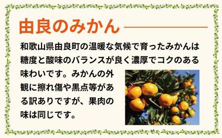 農家直送 ご家庭用 和歌山県由良町産温州みかん 約7.5kg 2S～2Lサイズ混合