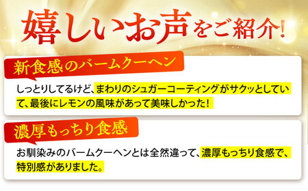 龍乃掌 バウムクーヘン マイヤーレモン＆ダークショコラ　2個セット 亀山市 / 瑞宝軒 / バウムクーヘン バームークーヘン[AMAU010]