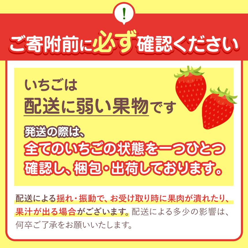 【定期便3回】いちごの新定番 ★とちあいか★ 12～15粒×2P 2027年 1月～4月上旬発送！【2027年先行予約】栃木県 矢板市産 【定期3回】| 42,000円