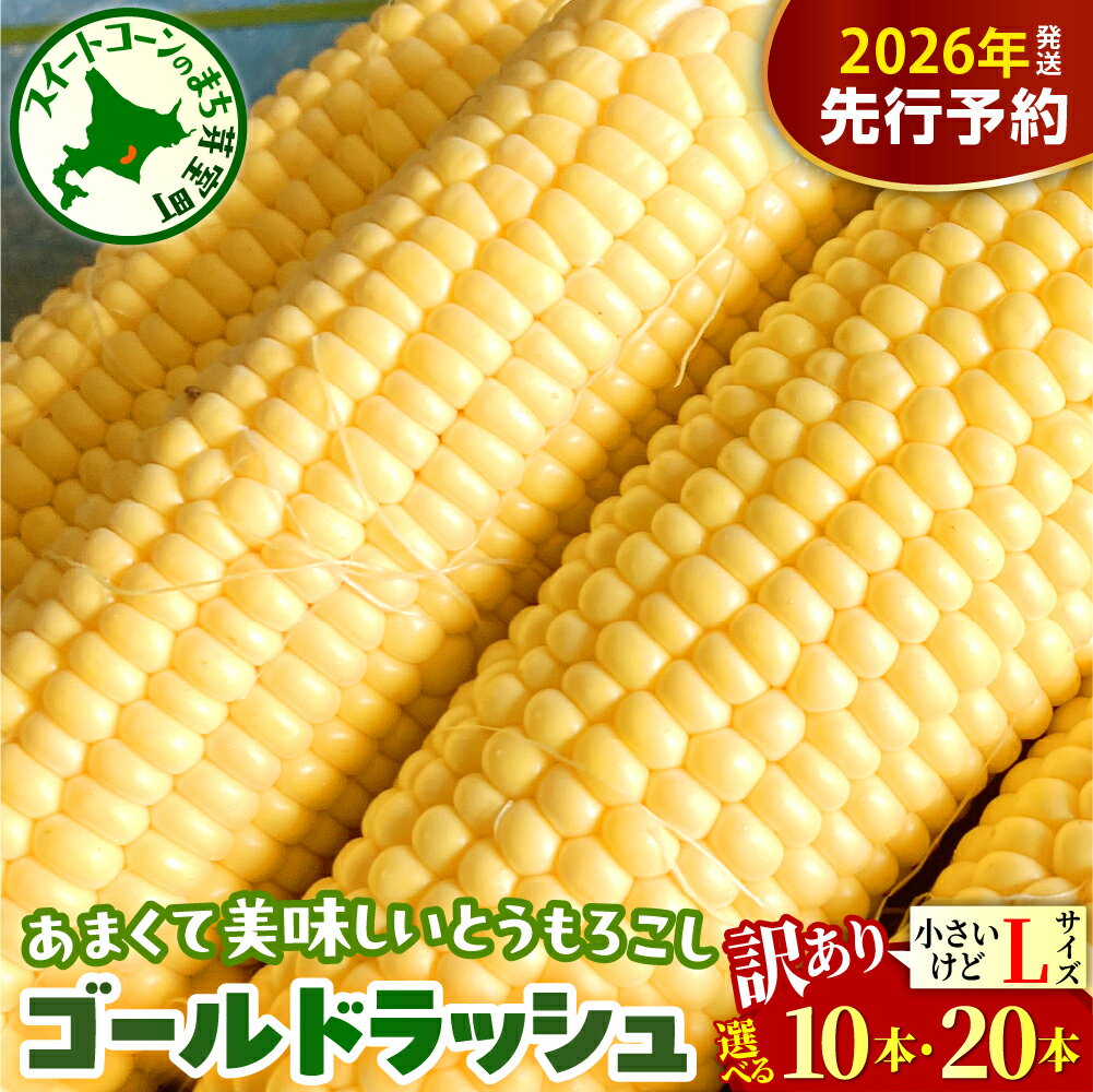 【ふるさと納税】【訳あり】【先行予約】 2026年産 とうもろこし 北海道産 ゴールドラッシュ L サイズ ( 選べる : 10本 / 20本 )【2026年8月上旬～8月下旬頃配送】 スイートコーン コーン 朝採り 産地直送 糖度 生 野菜 新鮮 BBQ 冷蔵 送料無料 お取り寄せ 北海道十勝 芽室町
