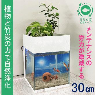 水槽セット　せせらぎビオトープ　アクアリウム　30cm　照明　スチールカバー　観賞魚