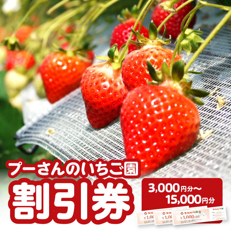 【ふるさと納税】プーさんのいちご園　割引券（3,000円分〜15,000円分） 【レターパック】 イチゴ狩り あまおう 恋みのり 紅ほっぺ さがほのか かおり野 おいCベリー あまえくぼ よつぼし 高設栽培 多段式 バリアフリー 車椅子 子供 品種 完熟 摘みたて 新鮮 福岡県 八女市